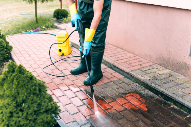 Best Local Pressure Washing Services  in Frankenmuth, MI