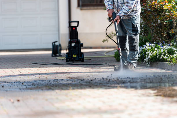 Best Commercial Pressure Washing  in Frankenmuth, MI