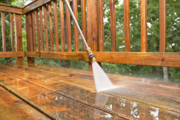 Best Deck Cleaning Services  in Frankenmuth, MI